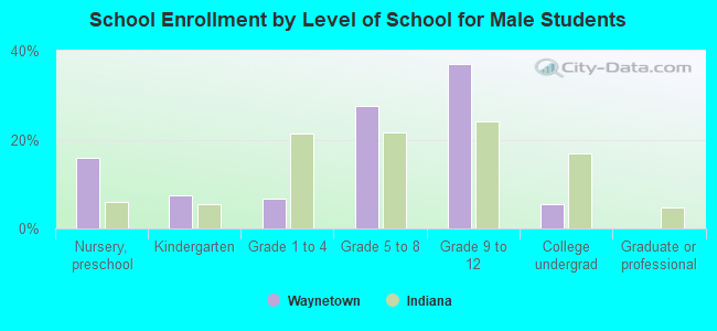 School Enrollment by Level of School for Male Students