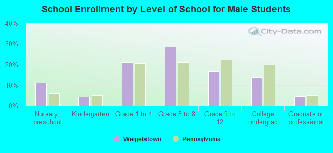 School Enrollment by Level of School for Male Students