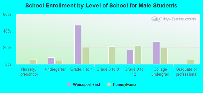 School Enrollment by Level of School for Male Students