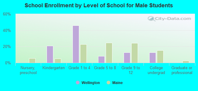 School Enrollment by Level of School for Male Students