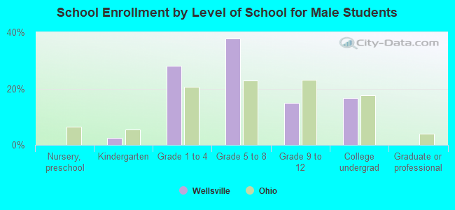 School Enrollment by Level of School for Male Students