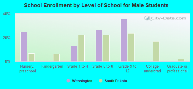 School Enrollment by Level of School for Male Students