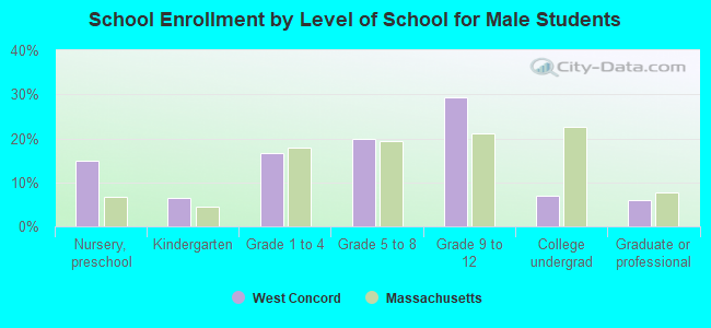 School Enrollment by Level of School for Male Students