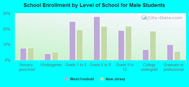 School Enrollment by Level of School for Male Students