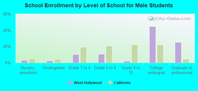 School Enrollment by Level of School for Male Students