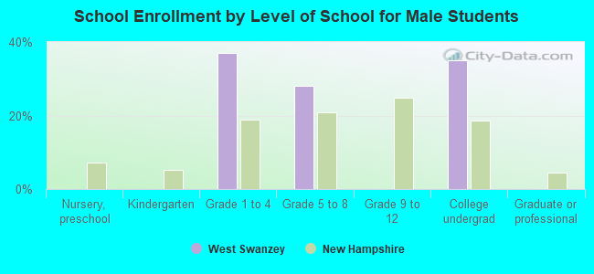 School Enrollment by Level of School for Male Students