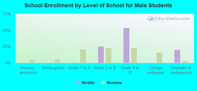 School Enrollment by Level of School for Male Students