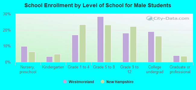 School Enrollment by Level of School for Male Students