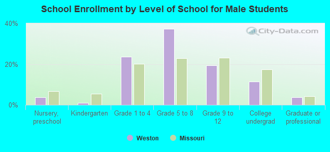 School Enrollment by Level of School for Male Students