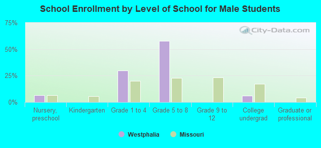 School Enrollment by Level of School for Male Students