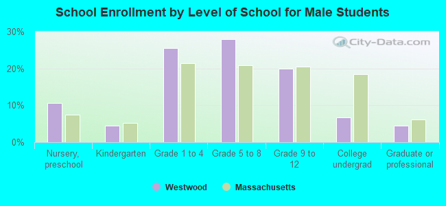 School Enrollment by Level of School for Male Students