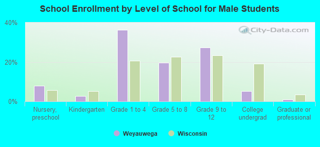 School Enrollment by Level of School for Male Students