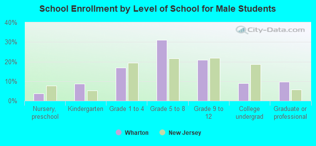 School Enrollment by Level of School for Male Students