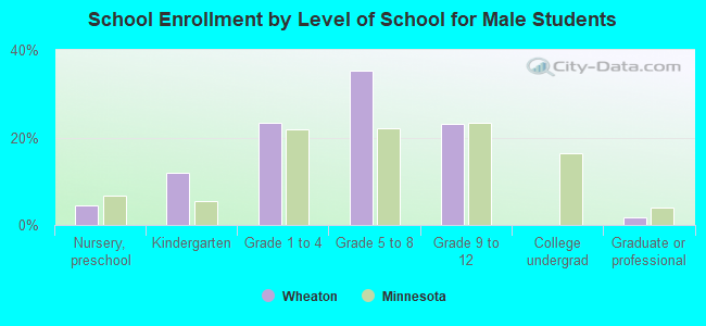 School Enrollment by Level of School for Male Students