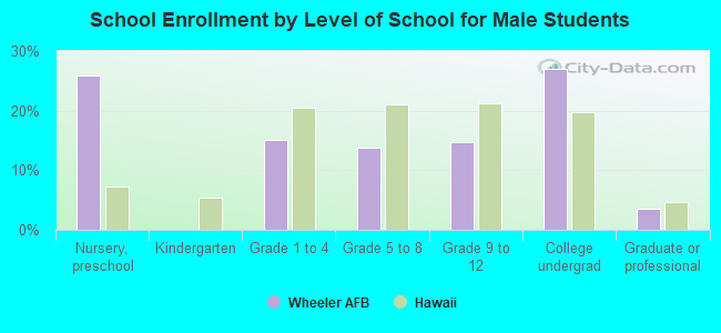 School Enrollment by Level of School for Male Students