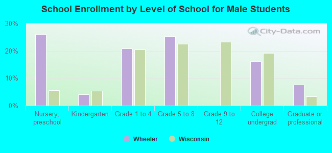 School Enrollment by Level of School for Male Students