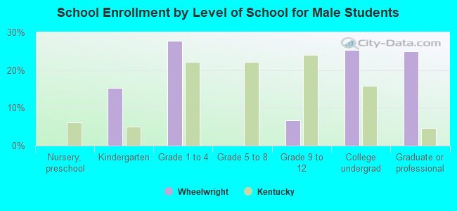 School Enrollment by Level of School for Male Students