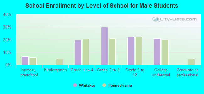 School Enrollment by Level of School for Male Students