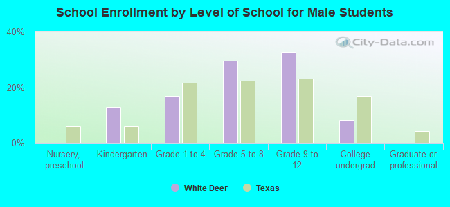 School Enrollment by Level of School for Male Students