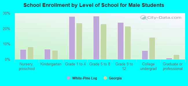 School Enrollment by Level of School for Male Students