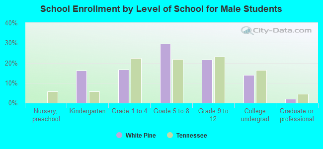 School Enrollment by Level of School for Male Students