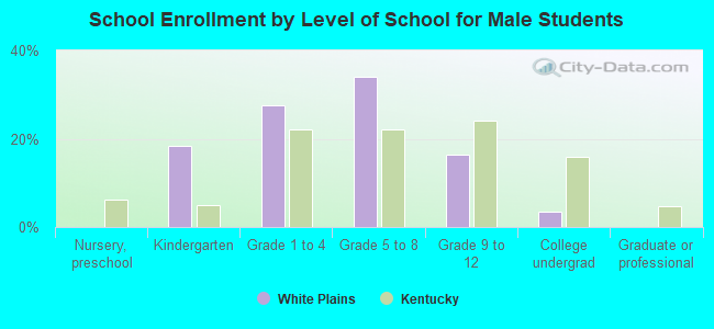 School Enrollment by Level of School for Male Students