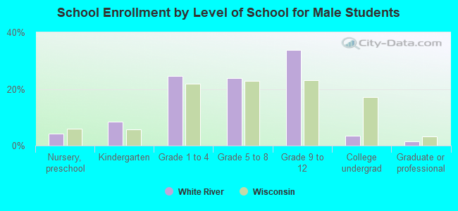 School Enrollment by Level of School for Male Students