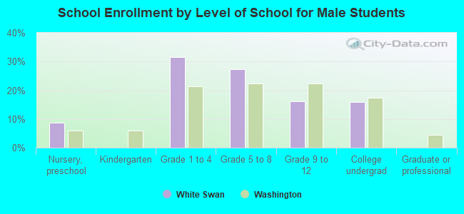 School Enrollment by Level of School for Male Students