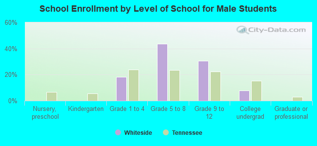 School Enrollment by Level of School for Male Students