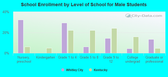 School Enrollment by Level of School for Male Students