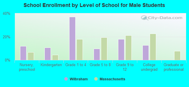 School Enrollment by Level of School for Male Students