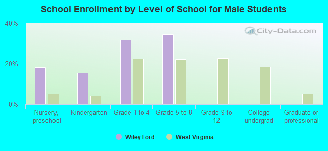 School Enrollment by Level of School for Male Students