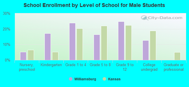 School Enrollment by Level of School for Male Students