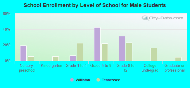 School Enrollment by Level of School for Male Students