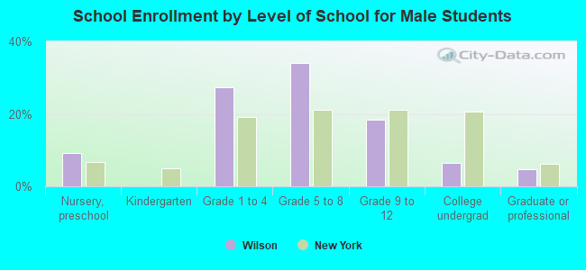 School Enrollment by Level of School for Male Students