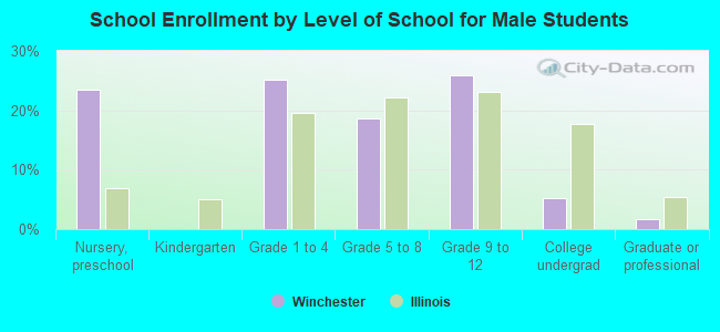 School Enrollment by Level of School for Male Students