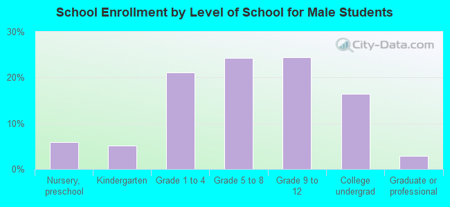 School Enrollment by Level of School for Male Students