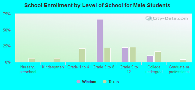 School Enrollment by Level of School for Male Students