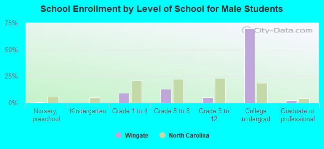 School Enrollment by Level of School for Male Students