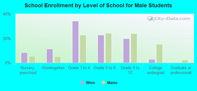 School Enrollment by Level of School for Male Students