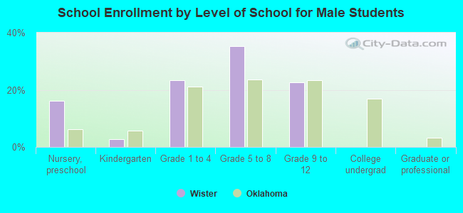 School Enrollment by Level of School for Male Students