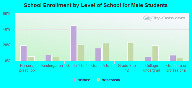 School Enrollment by Level of School for Male Students