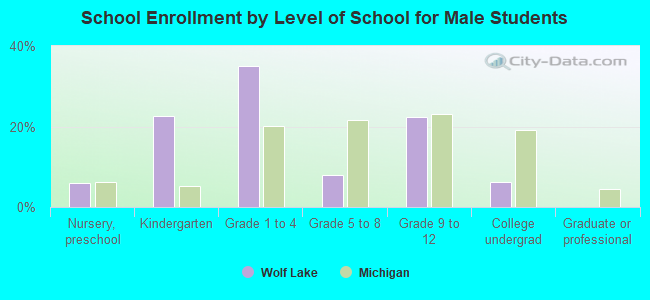 School Enrollment by Level of School for Male Students