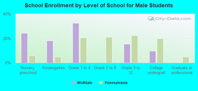 School Enrollment by Level of School for Male Students