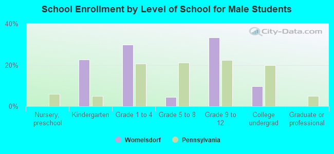 School Enrollment by Level of School for Male Students