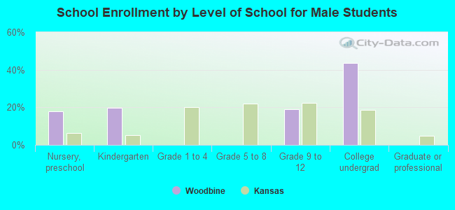 School Enrollment by Level of School for Male Students