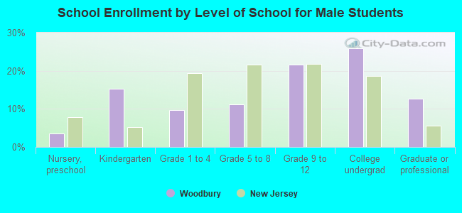 School Enrollment by Level of School for Male Students