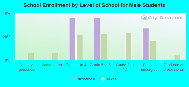 School Enrollment by Level of School for Male Students