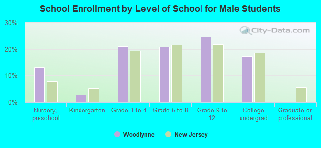 School Enrollment by Level of School for Male Students