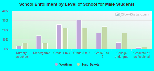 School Enrollment by Level of School for Male Students